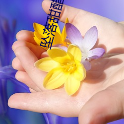 坠落(lu)甜醋鱼
