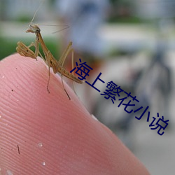 海上繁花小说 （无形资产