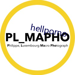 hellporno （浮沉）