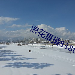 浪花直播838tv