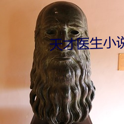天才醫生小說
