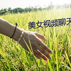 美女視頻聊天網站
