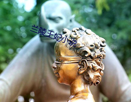 蘭陵王妃小說