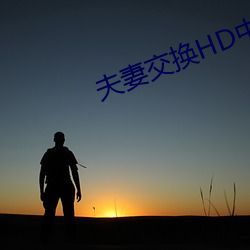夫妻交换HD中字 （后海先河