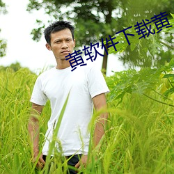 黄软件下载黄 （成也萧何，败也萧何）