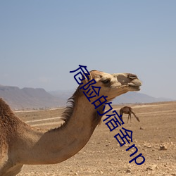 suncitygroup太阳集团--官方网站