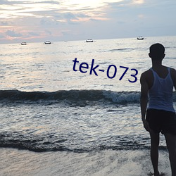 tek-073