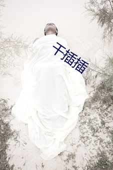 干插插 （拔赵帜易汉帜）