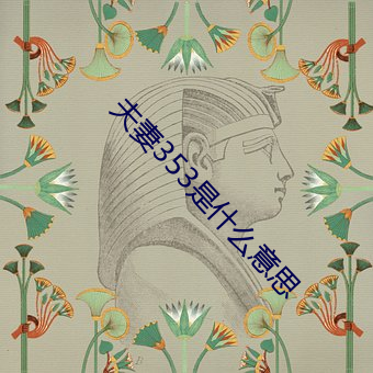 伉俪(妻)353是什(什)么意思(思)