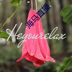 海马(mǎ)直播