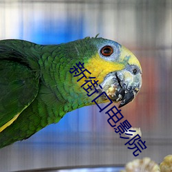 新街(街)口(口)电(電)影院