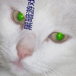 黑暗游戏:我是禽(禽)兽