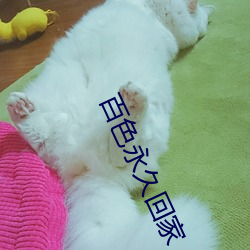 百色永久回家