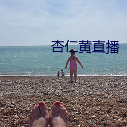 杏仁黃直播