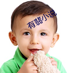 有翡小说