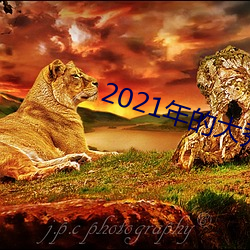 2021年的大秀app