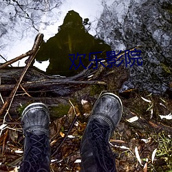 欢乐影院