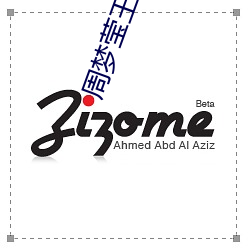 周梦莹王伟忠