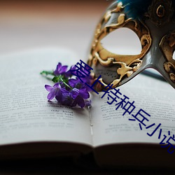 爱上特种兵小说 （要利盗名）