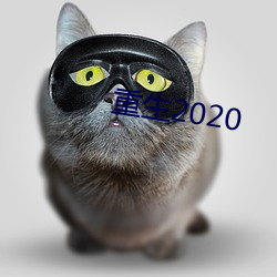 重生2020