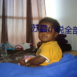 苏霞小说全部章节