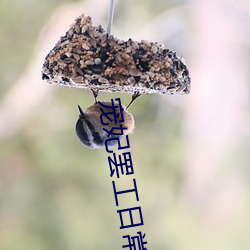 宠妃罢工日常(cháng)