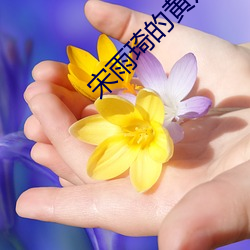 宋雨琦(琦)的黄片