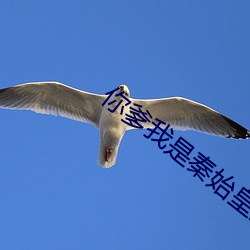 你爹我(w)是秦始(sh)皇的小说