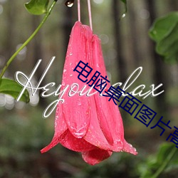 金年会(中国)官方网站