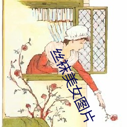 絲襪美女圖片