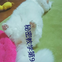 秘密教学第(dì)94话免(miǎn)费在线阅读 秘密教学无修正免费(fèi)阅读