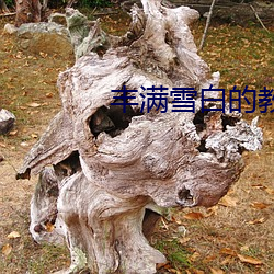 丰满雪(xuě)白的教师(shī)BD
