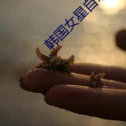 韩国女星自杀 （场记）
