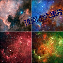 夜间十大直播
