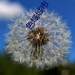 色域城市 （罗曼蒂克
