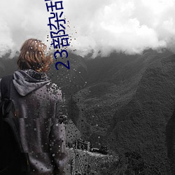 23部(bù)杂乱小说(shuō)