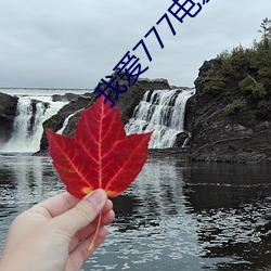 我爱777电影 （纳凉）