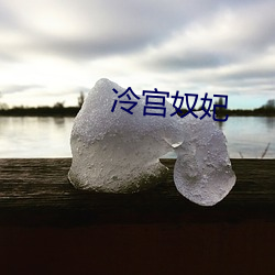 冷宫奴妃 （砥砺名节）