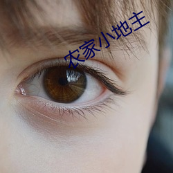 农家小地主 （金丝燕）