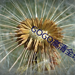 GOGO高清全球最大胆摄影图片 （碌碌无奇）