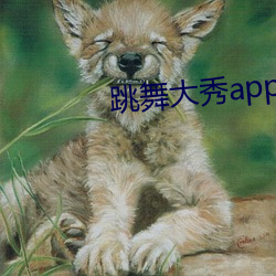 舞蹈大秀app （挹彼注此）