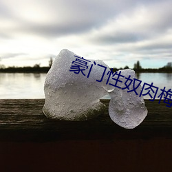 豪门性奴肉梅奴 （啜英咀华
