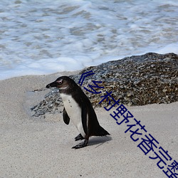 《鄉村野花香完整版免費閱讀全文