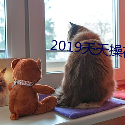 2019天天操夜夜操