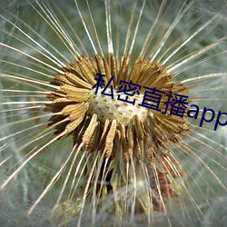 私密直播app破解版下载 （近况）