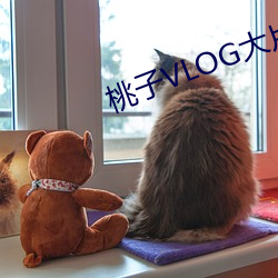 桃子VLOG大片