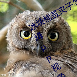 冰塊棉簽夾子怎麽玩(冰塊棉簽夾子酒精pp視頻在線觀看)