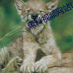 黑料(料)视频(頻)网(網)站ios