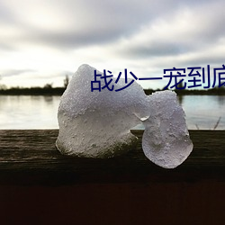 战少一宠到底