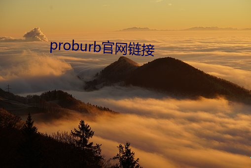 proburb官网链接(接)